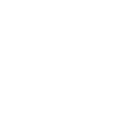 Bicycle transport